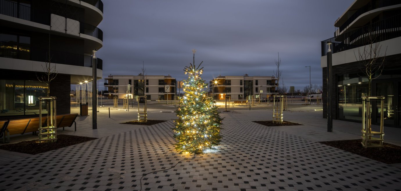 In Arcus City we lit up Christmas tree