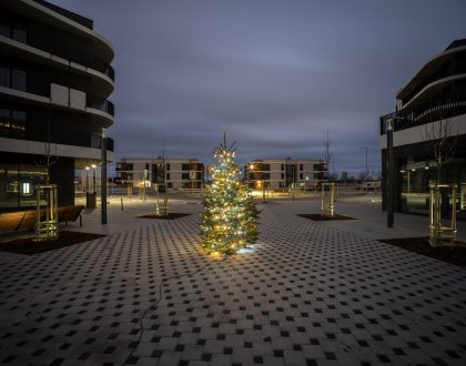 In Arcus City we lit up Christmas tree